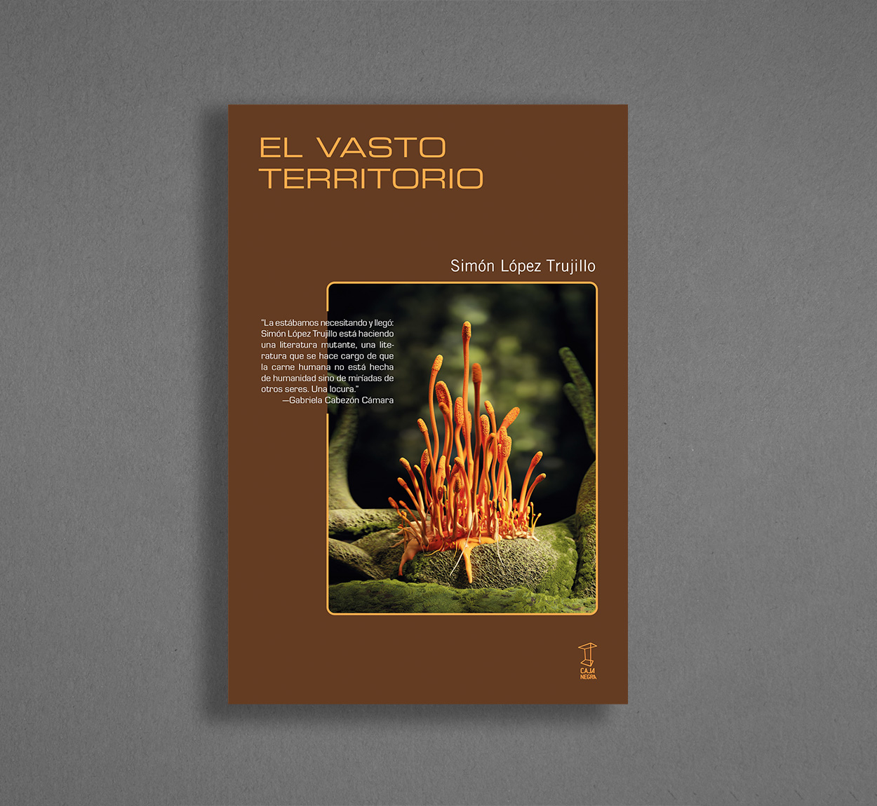 Simón López Trujillo: El vasto territorio (Spanish language)